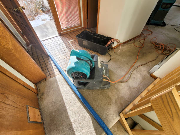 Best Sewage cleanup and water damage restoration  in Winterset, IA