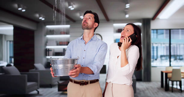 Best Commercial water damage restoration  in Winterset, IA